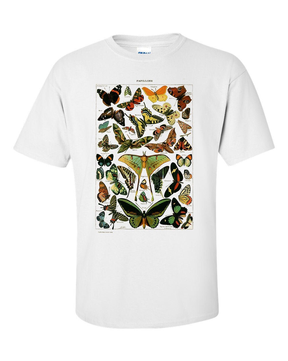 Buterflies Papillons By Adolphe Millot Fine Art Mens T-Shirt