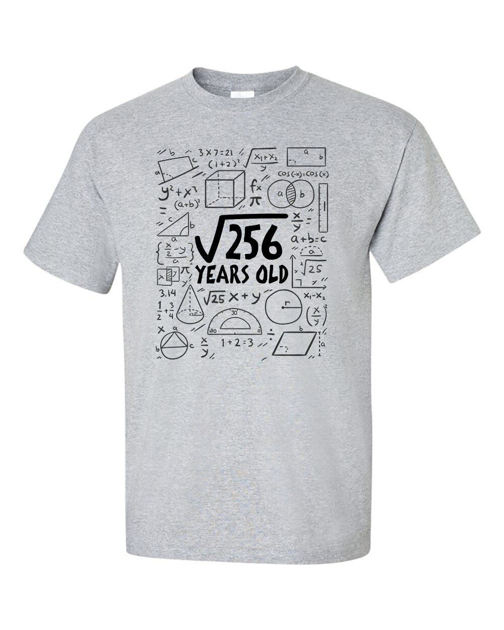 Square Root of 256 16 Year Old 16th Sixteenth Birthday Gifts  Math T-Shirt