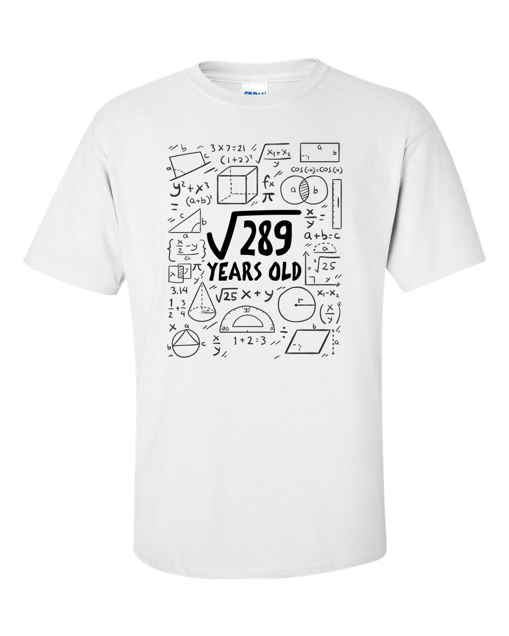 Square Root of 289 17 Year Old 17th Seventeenth Birthday Gifts  Math T-Shirt