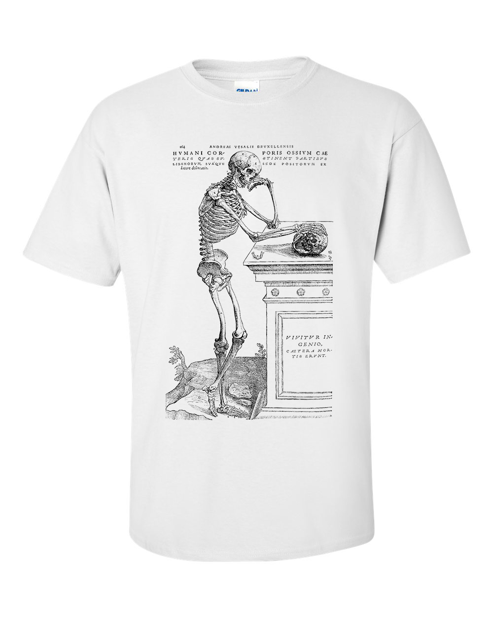 Pondering Thinking Skeleton By Andreas Vesalius T-Shirt